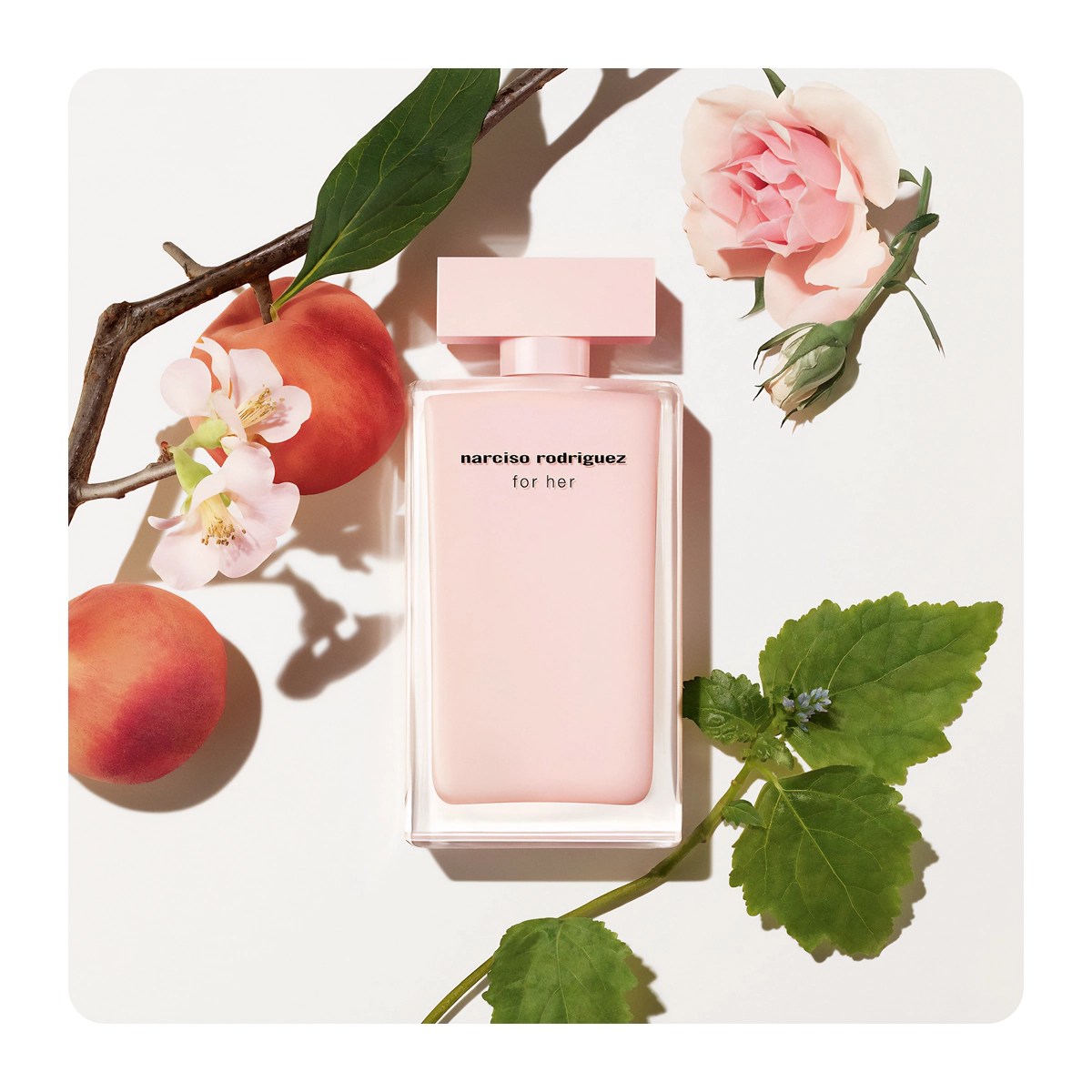 Narciso Rodriguez For Her Musc Nude EDP (W) / 100 ml